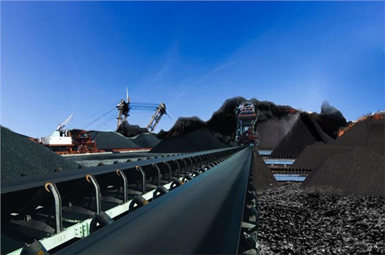嵩陽煤機(jī)發(fā)電廠皮帶輸送機(jī)