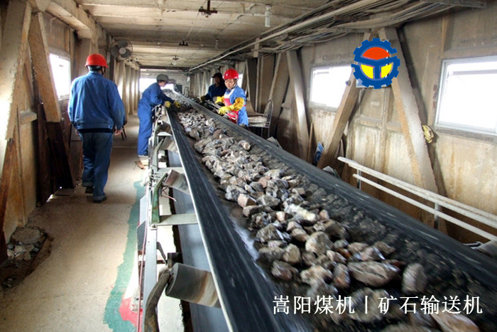 煤矸石皮帶輸送機(jī) 煤矸石皮帶輸送機(jī)