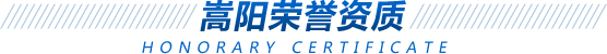 嵩陽(yáng)榮譽(yù)資質(zhì) 嵩陽(yáng)榮譽(yù)資質(zhì)